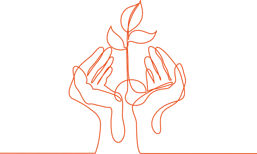 Illustration på händer som håller liten planta